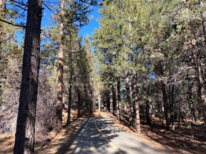 Summit Condo - Luxury condo, walk to the slopes!